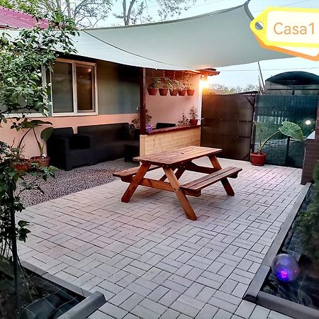 Casa Dasoveanu 술리나 외부 사진