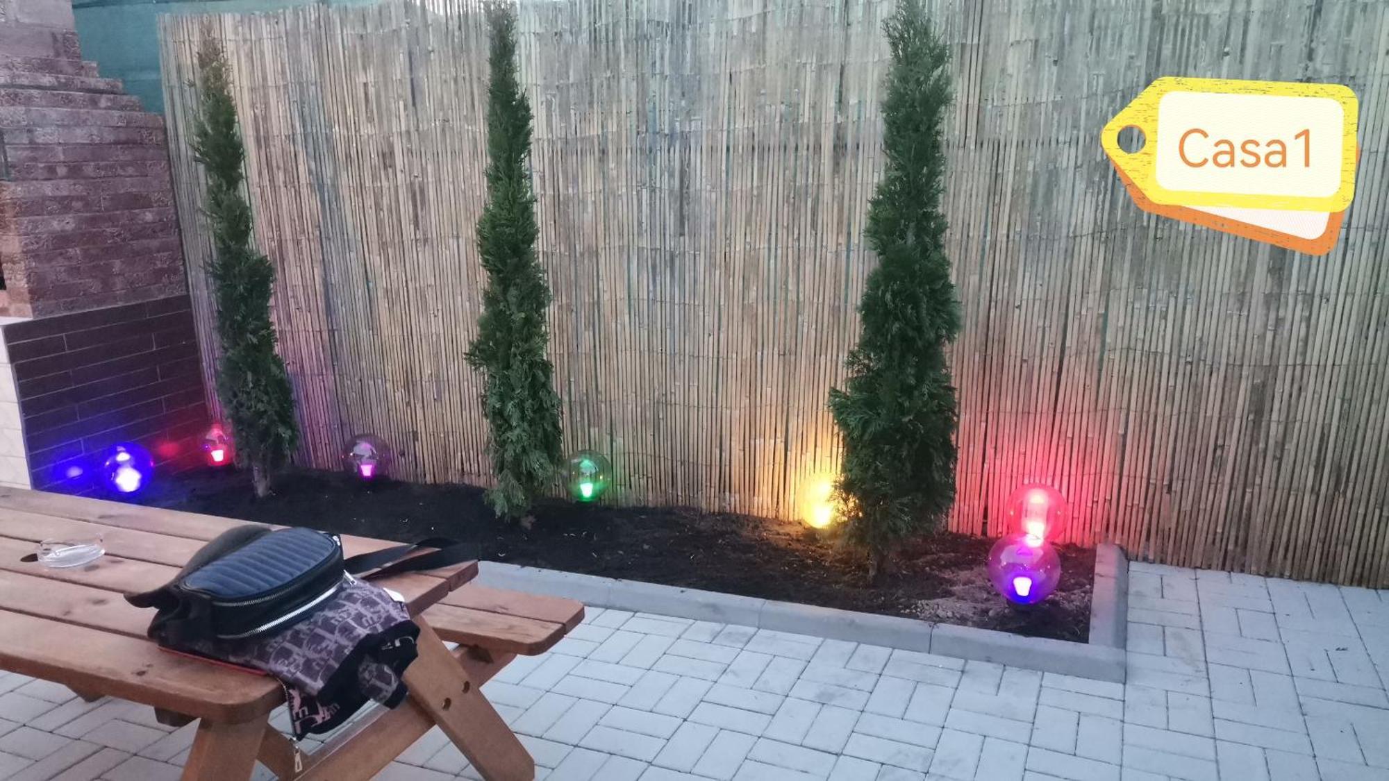 Casa Dasoveanu 술리나 외부 사진