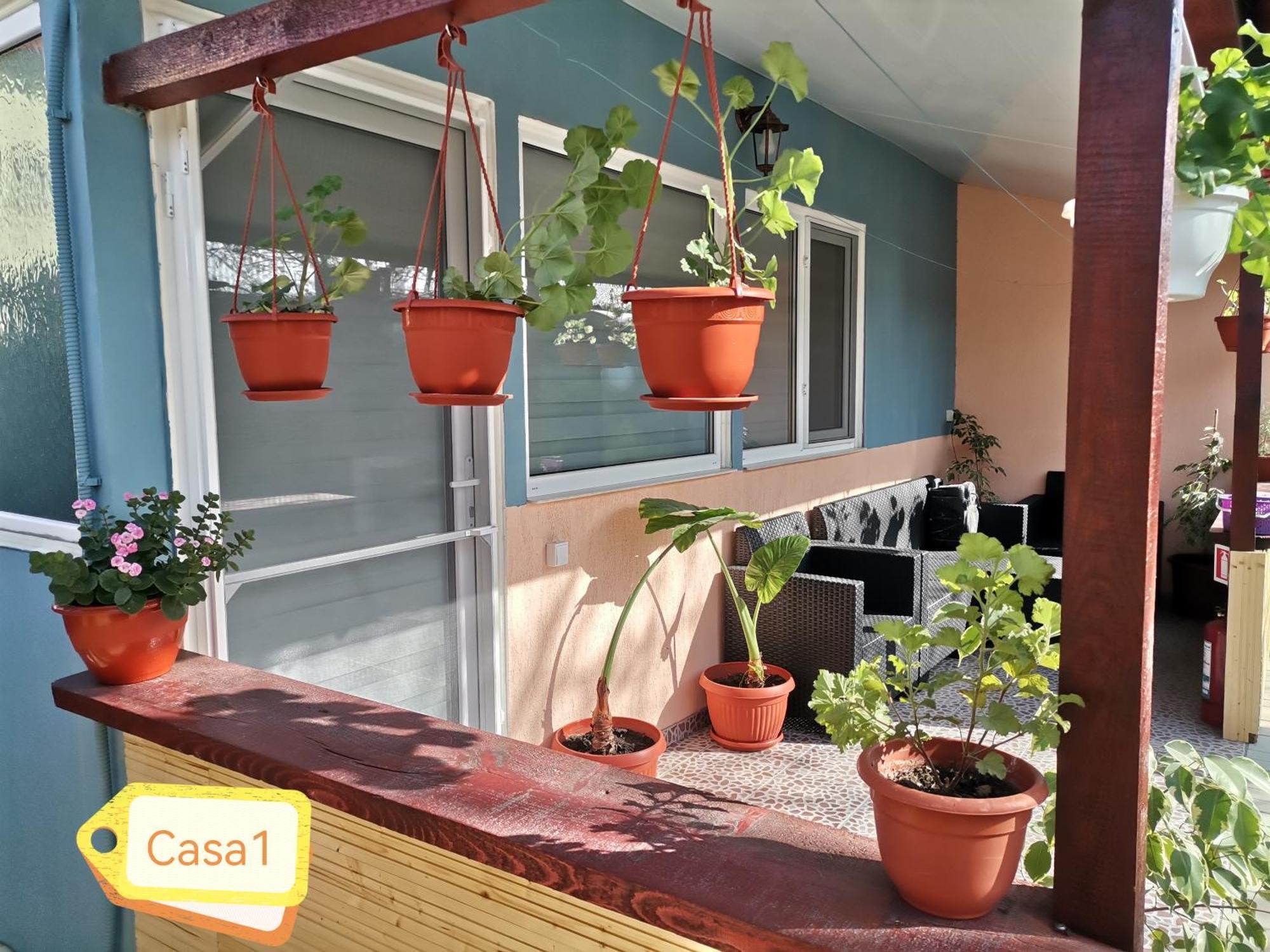 Casa Dasoveanu 술리나 외부 사진